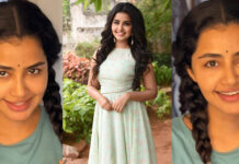 പാട്ടും ലുക്കും വൈറൽ; പിന്നാലെ മോശം കമന്റിനും മറുപടിയുമായി അനുപമ Anupama Parameswaran