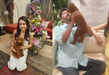 തൃഷയുടെ 10 കോടിയുടെ വസതി വിജയ്ക്കും പ്രിയപ്പെട്ടത്; മെയ് മാസത്തിൽ ആഘോഷങ്ങൾ മാത്രം; ആഡംബര വസതിയും വിജയങ്ങളും ചേർന്ന് ചർച്ചയായി തൃഷ കൃഷ്ണൻ.
